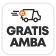 Envio gratis TN amba 