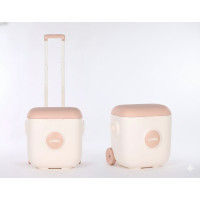 Conservadora Vintage Rosa Atma 30L Con Carrito